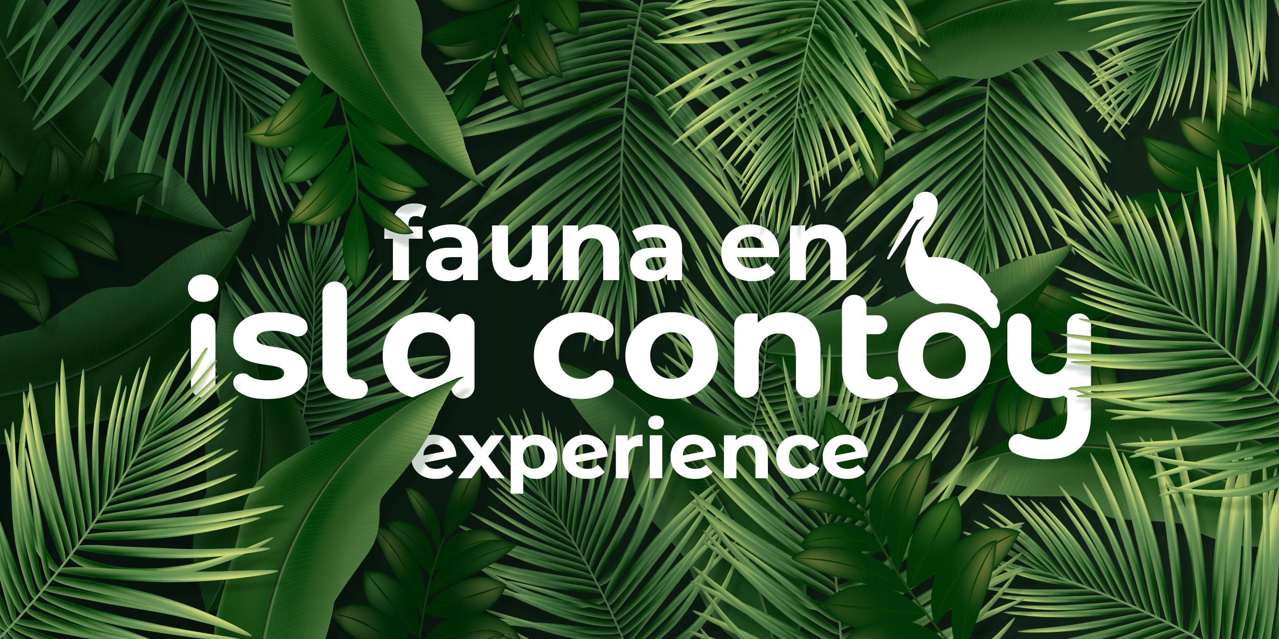 Fauna of Isla Contoy