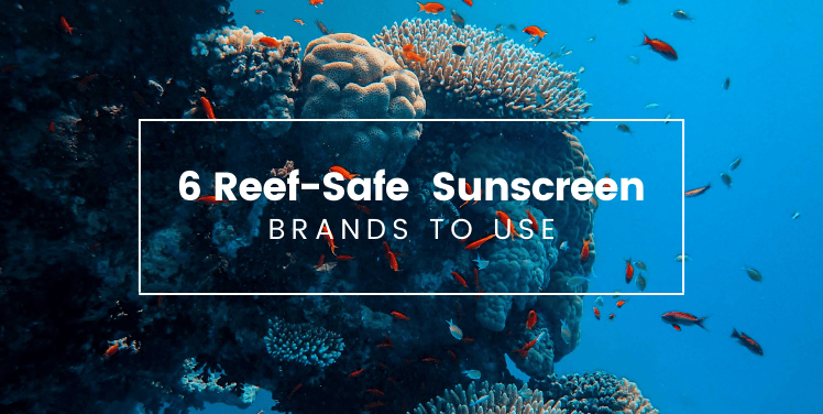 Reel safe sunscreen brands to use