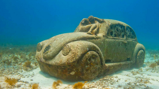 Onde Mergulhar Com Snorkel Em Cancún E Isla Mujeres?