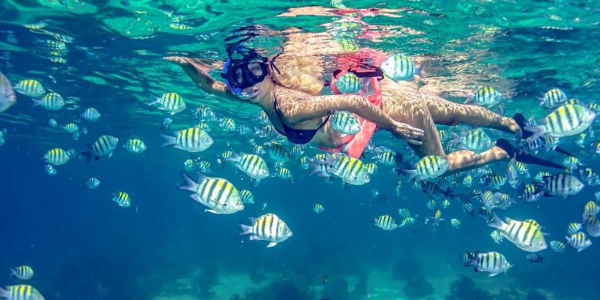 Snorkel in Cancun