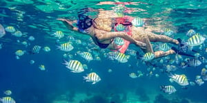 women snorkelling in reef