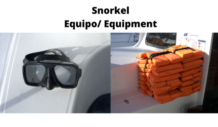 equipo de snorkel
