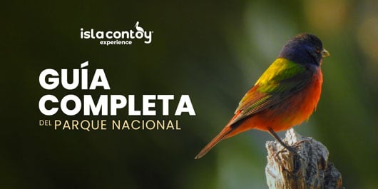 Guía completa del Parque Nacional Isla Contoy