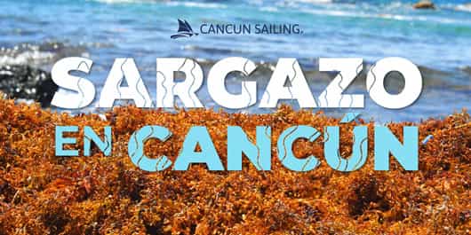 Sargazo en Cancún