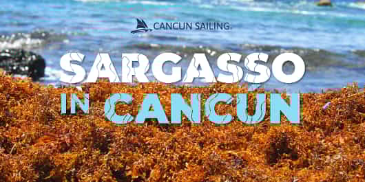 Temporada de Sargassum em Cancún