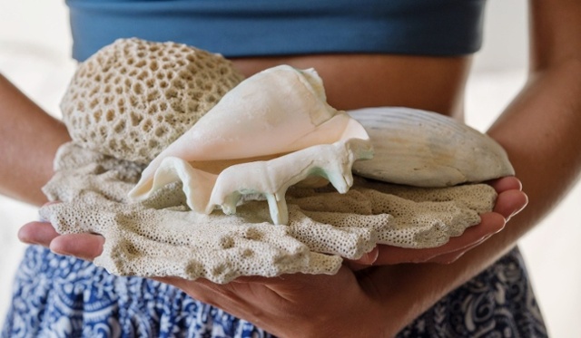 woman-holding-shells-and-corals-2021-09-04-05-19-46-utc-1-1-1