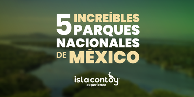 5 Increíbles parques nacionales de México
