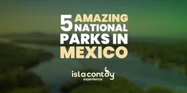 5 Mexican National parks you must visit