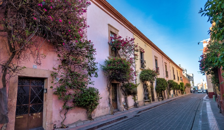 rustic-street-with-windows-and-bougainvillea-flower
