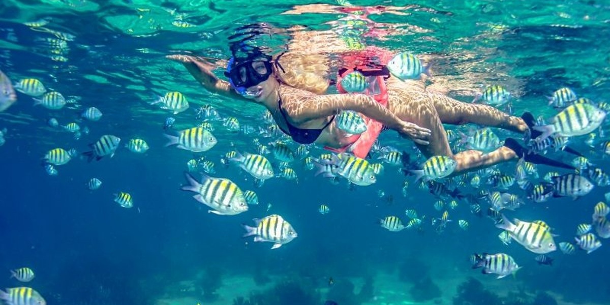 Mujer nadando en un arrecife