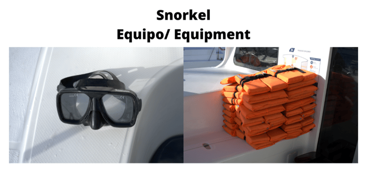 Snorkel equipment in Cancun Sailing