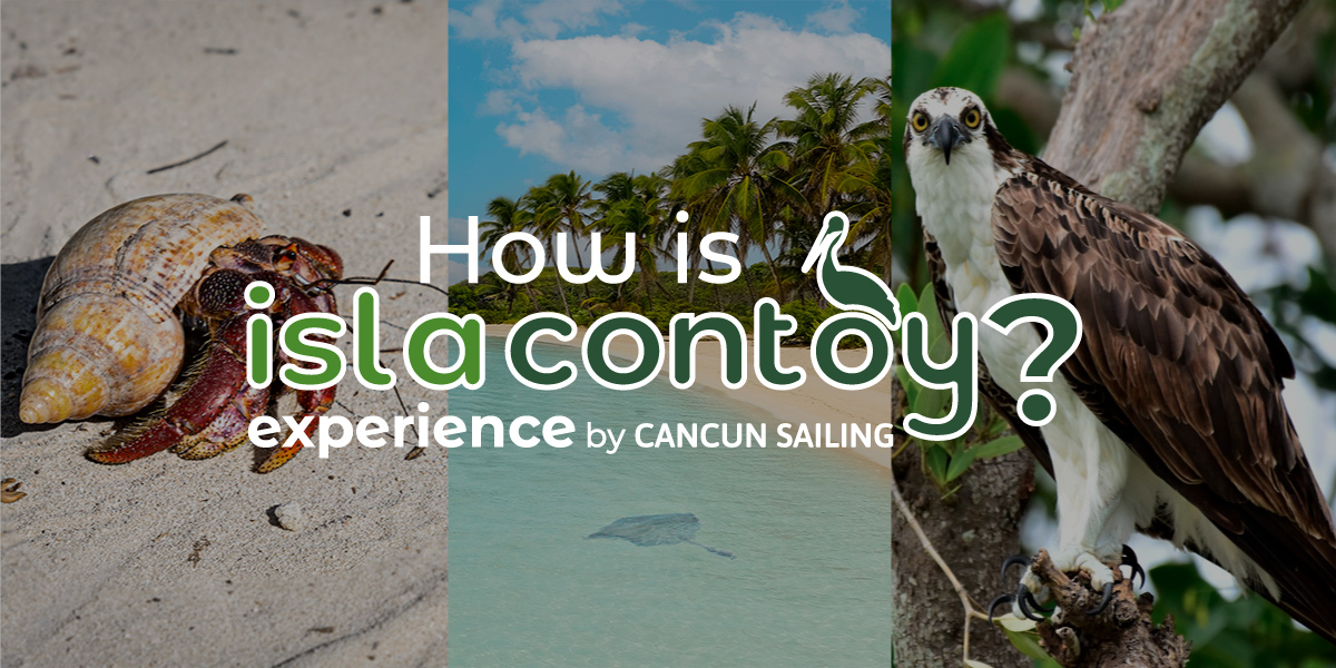 Photos from the Isla Contoy tour