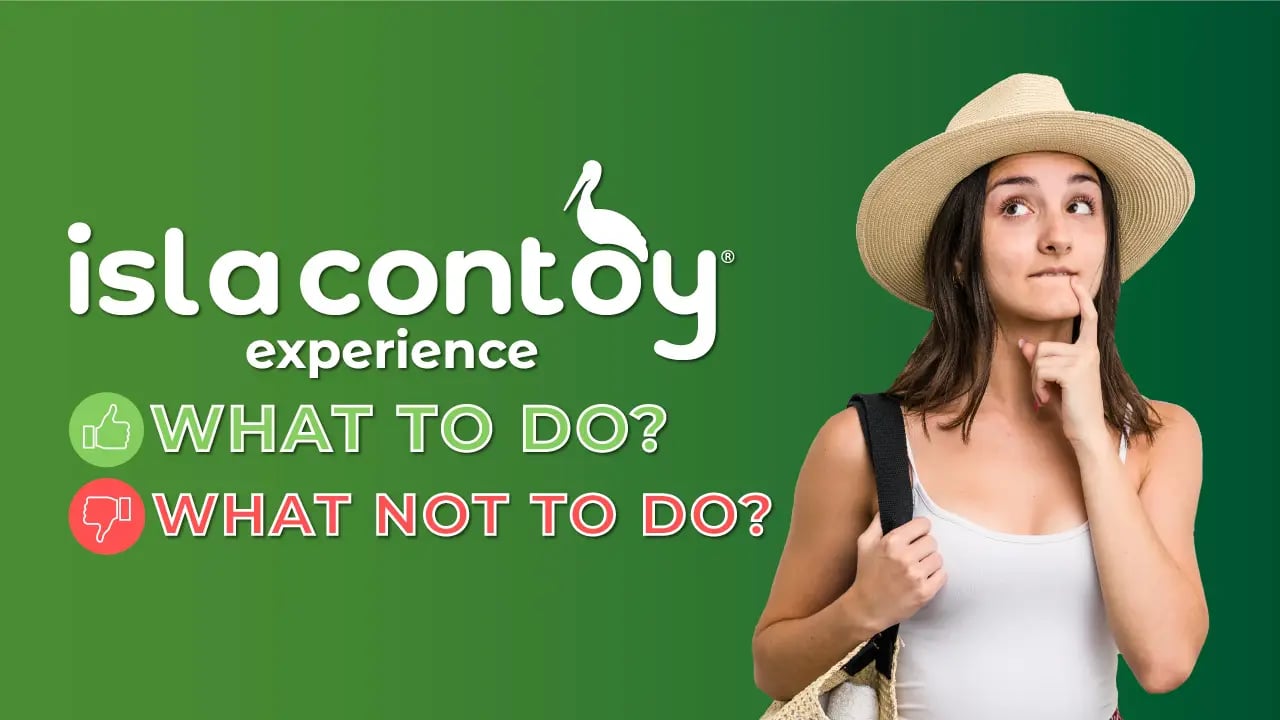 Do's and Don'ts for a Responsible Wildlife Experience at Contoy