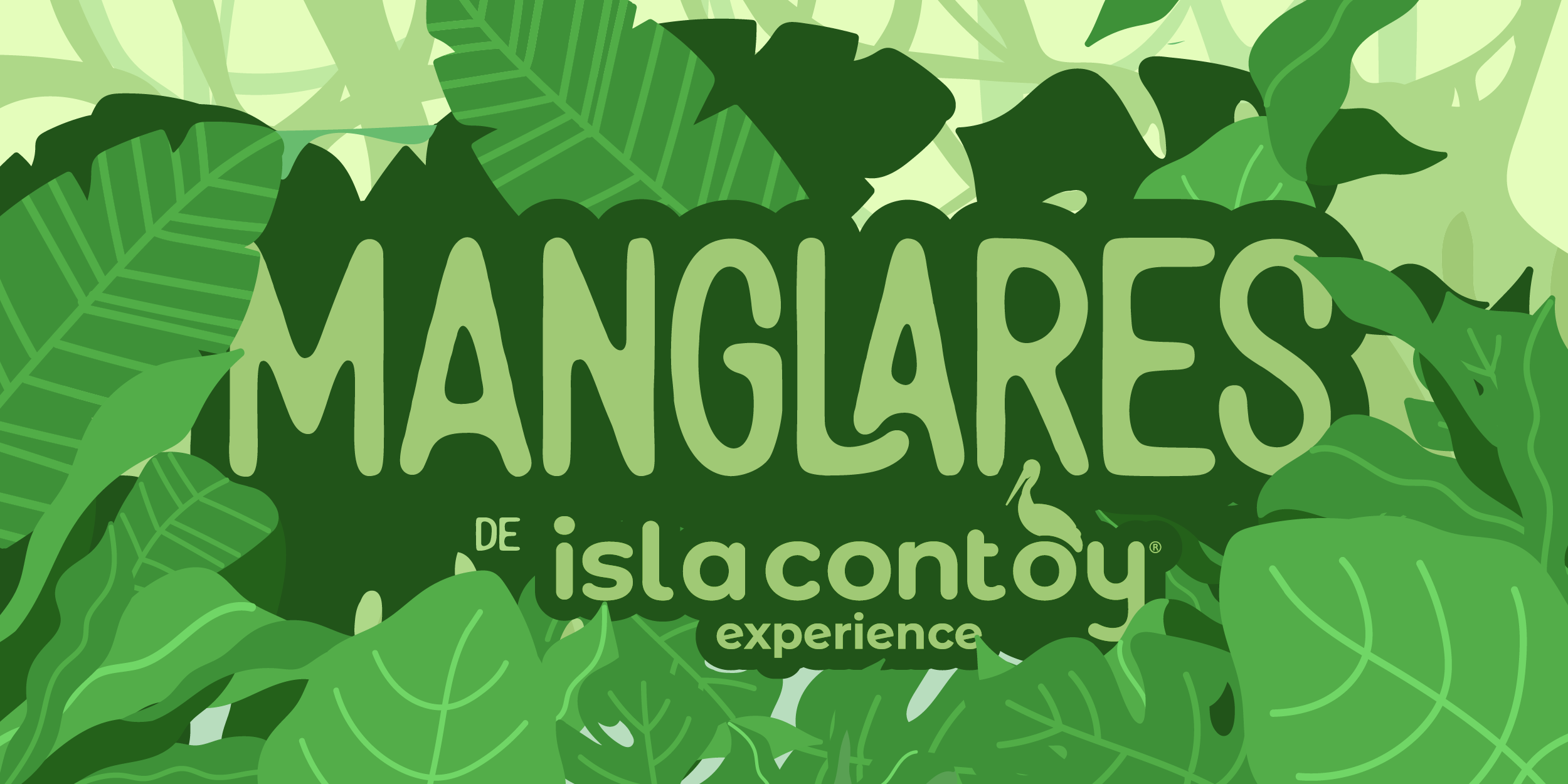 What type of mangroves are there in Isla Contoy?