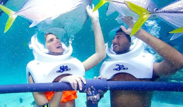 blog-sea treck-1200 x 600-1-1