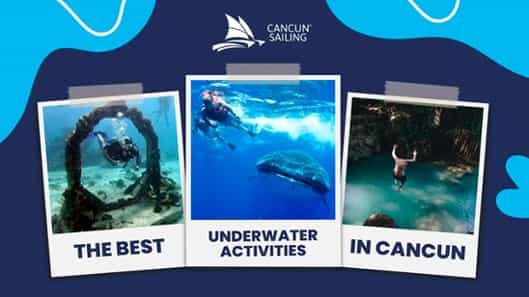 Top 6 Underwater Activities in Cancun to Beat the Summer Heat