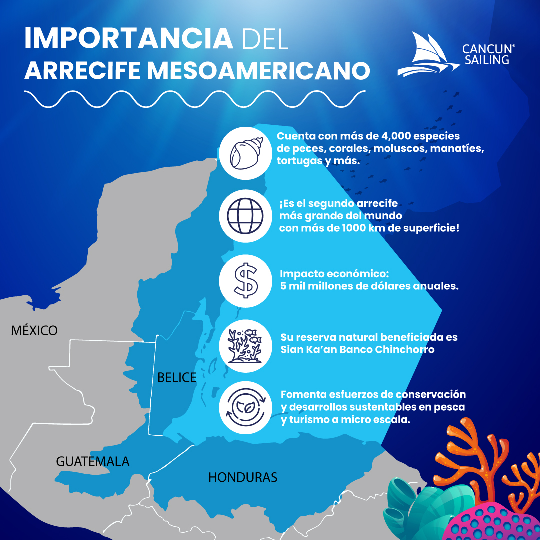 importancia del arrecife mesoamericano