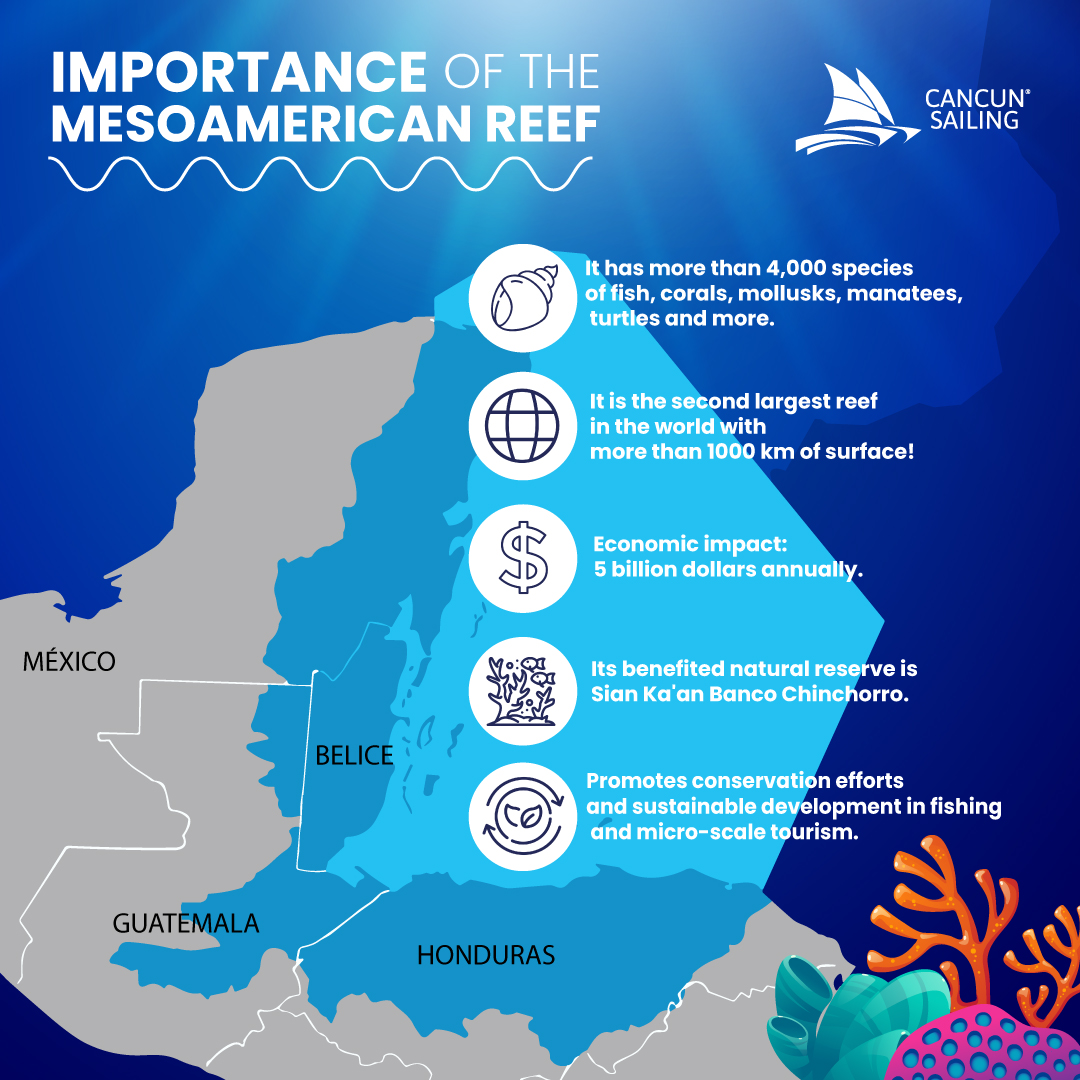 mesoamerican reef infography