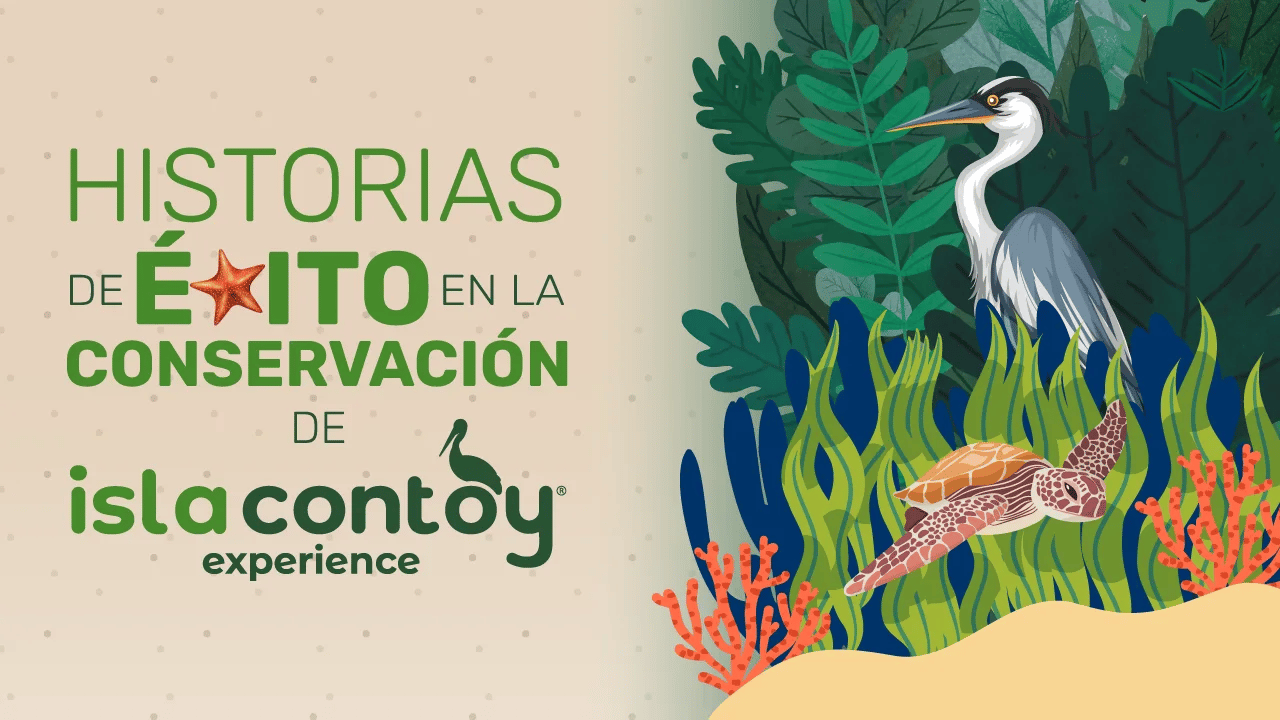 Historias de exito en la conservacion de isla contoy