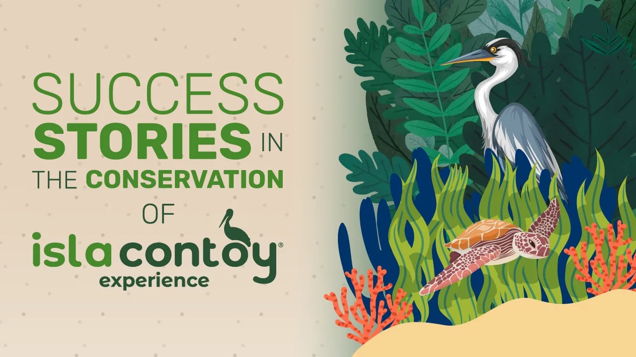 Success stories in the conservation of Isla Contoy