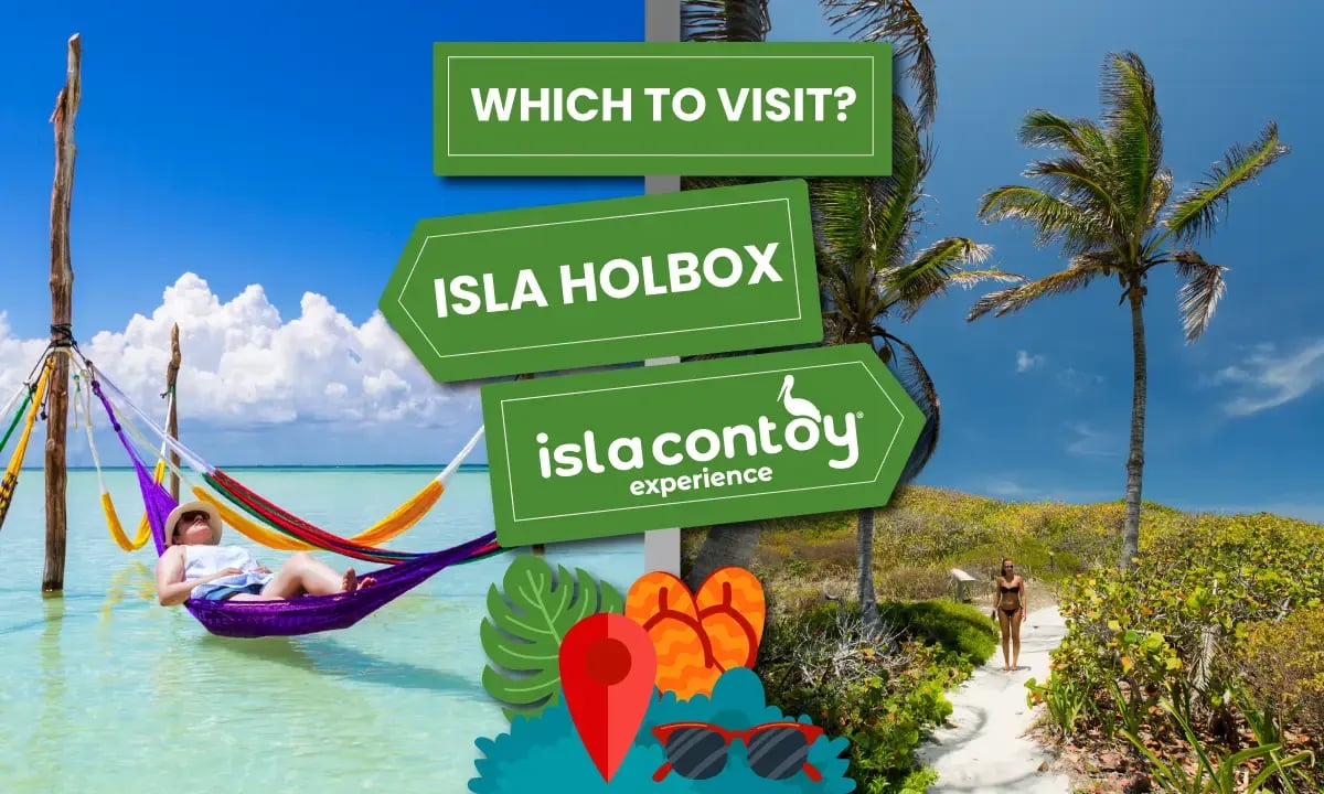 Isla Contoy VS Isla Holbox, which one should you visit?