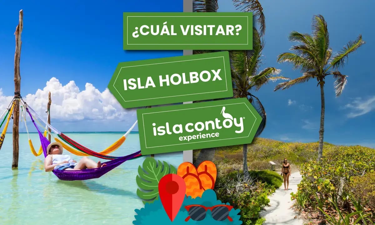 Isla Contoy vs Isla Holbox ¿cual visitar?