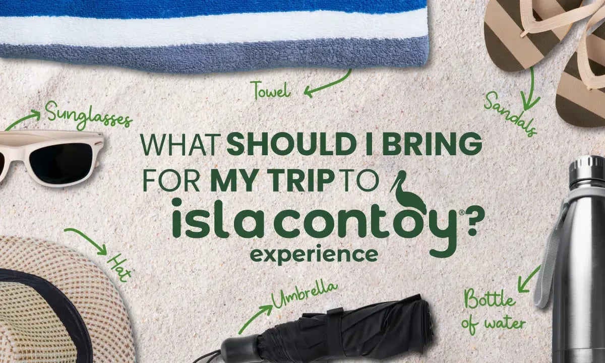What should I bring from my trip to Isla Contoy