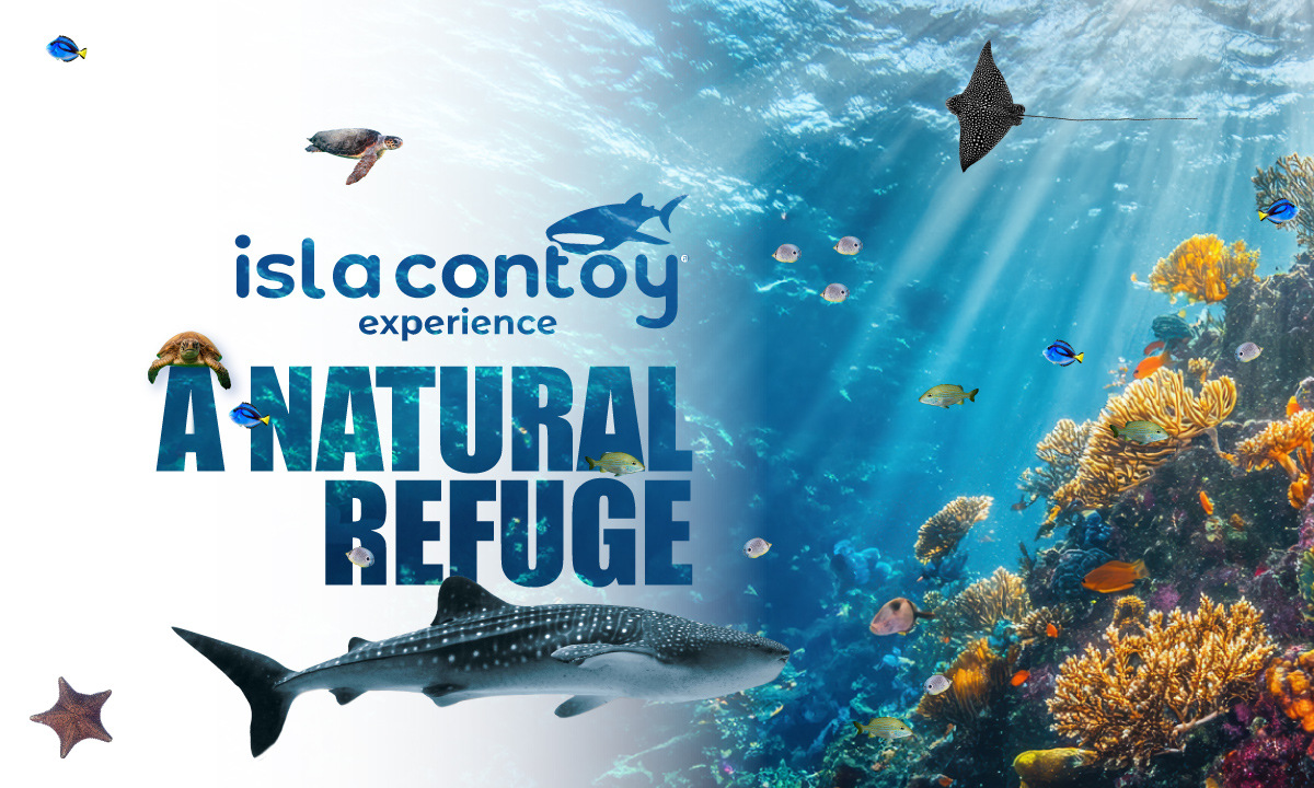 Isla Contoy, a natural refuge