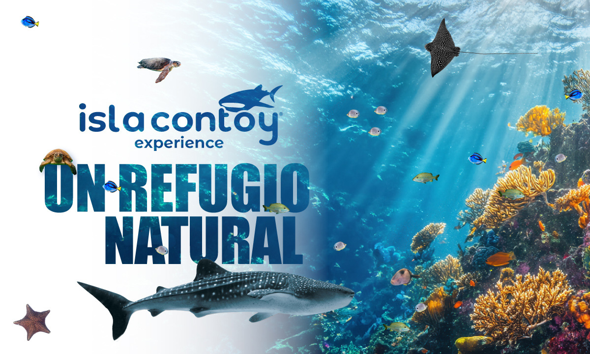 Isla Contoy, un refugio natural