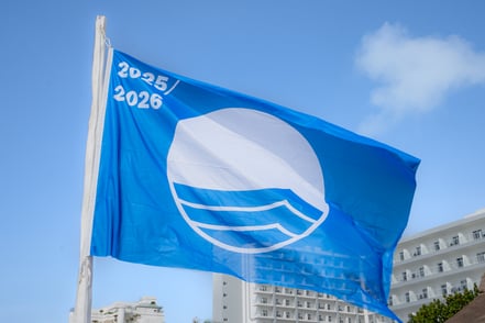 Blueflag_2526-6 (1)