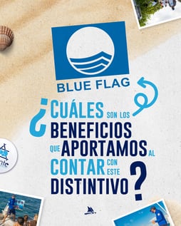 blue flag_Mesa de trabajo 1 (1)