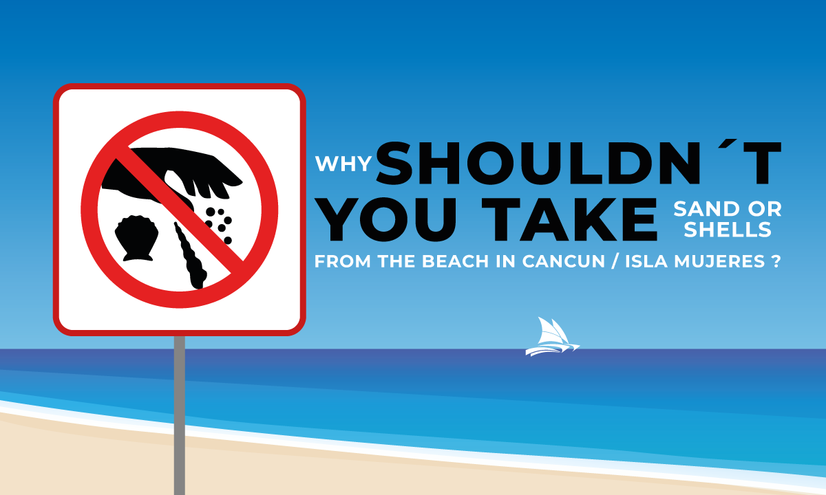 dont-steal-paradise-sand-shells-cancun-beaches