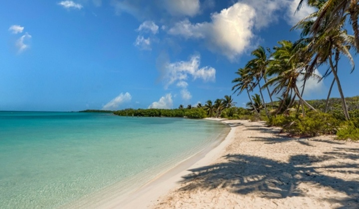 Tour a Isla Contoy-3-1