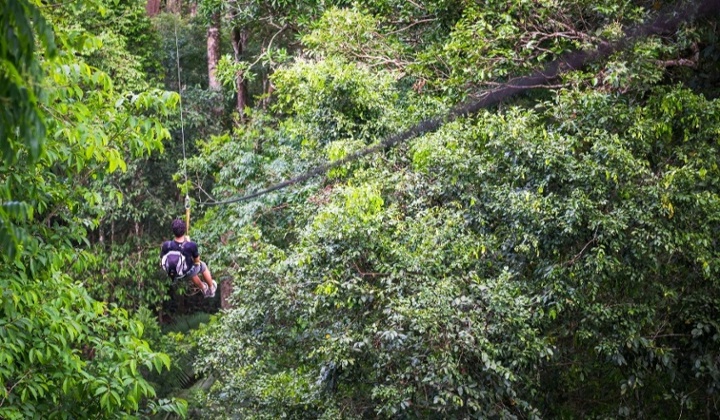 zip-lining-on-a-zip-line-in-amazon-jungle-of-peru-2022-03-08-15-52-28-utc-1-2-1
