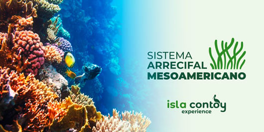 El Sistema Arrecifal Mesoamericano