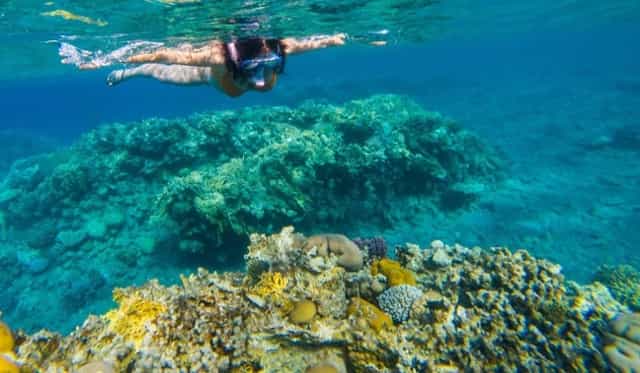 mujer-snorkel-arrecife-coral-1200x600-1-1