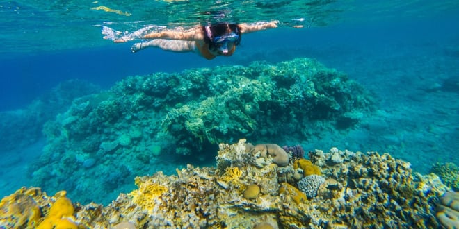 Snorkel en arrecife de coral en Cancún