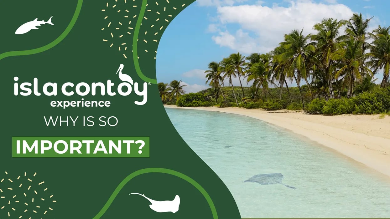 Isla Contoy, why is so important?
