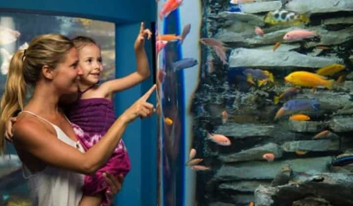 Interactive aquarium Cancun-1