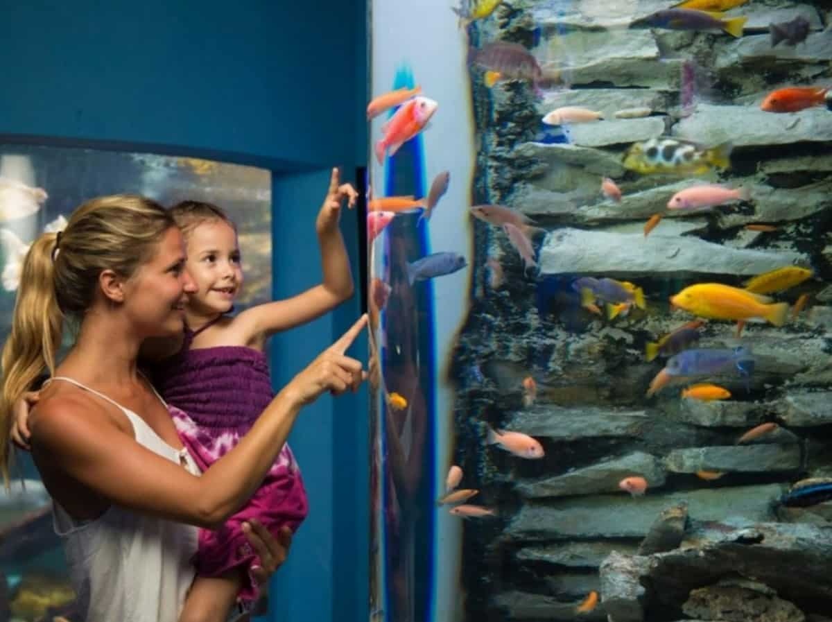 Interactive aquarium Cancun