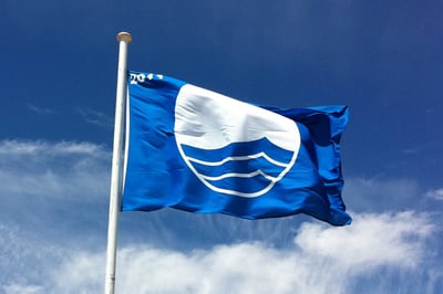 blueflag