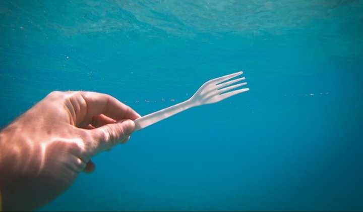 consciencia-ambiental-en-cancun-mx-jpg-1-1