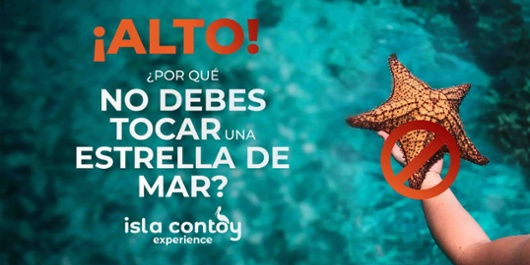 por-que-no-debes-tocar-una-estrella-de-mar