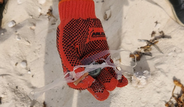 limpieza-de-playas-CS-jpg-1-1