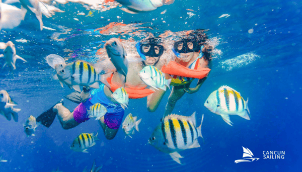 snorkeling-en-cancun-sailing