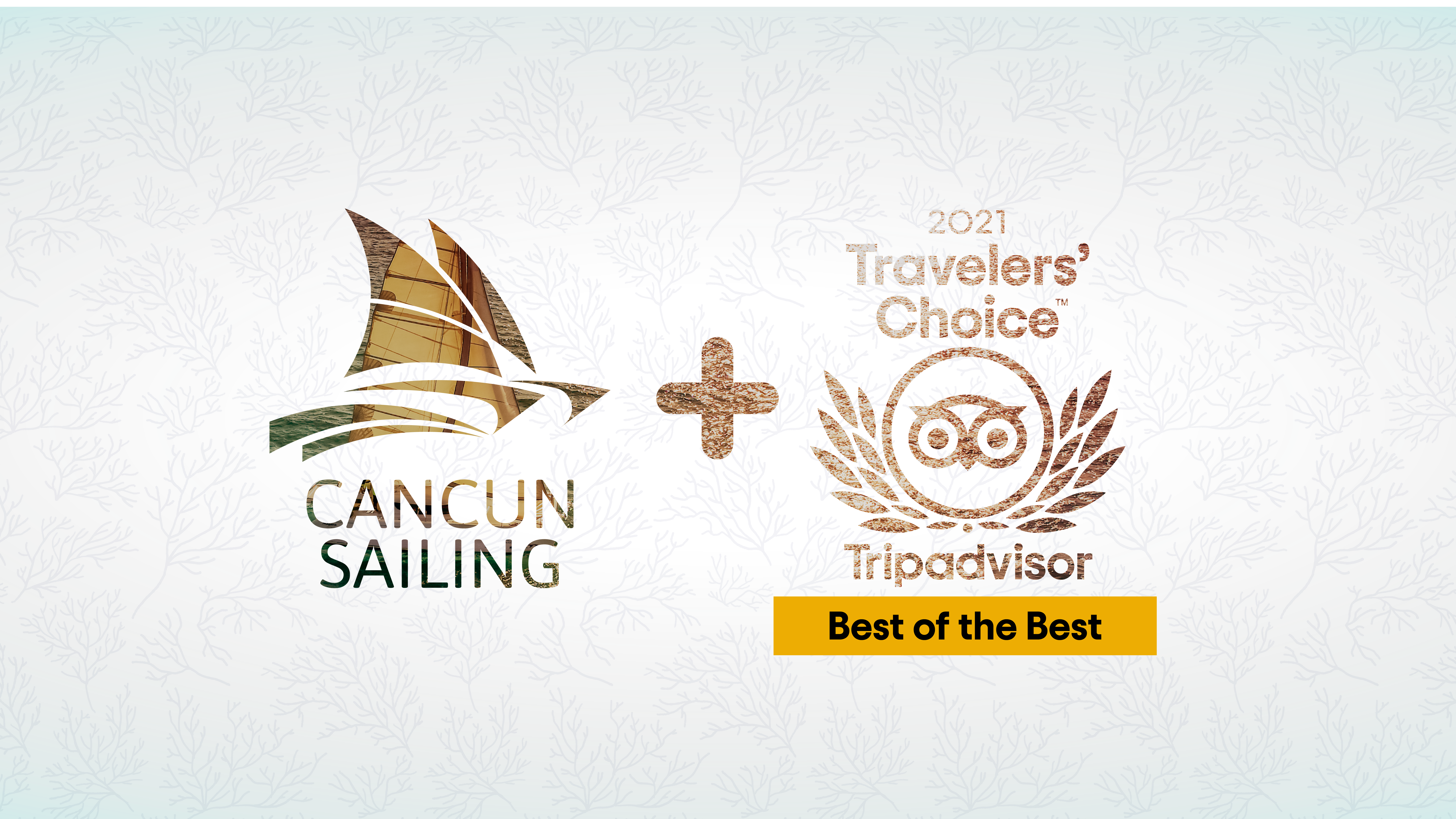 Cancun Trip Advisor rankings | Travelers favorite activities in 2021