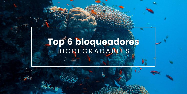 6 marcas de protector solar biodegradables