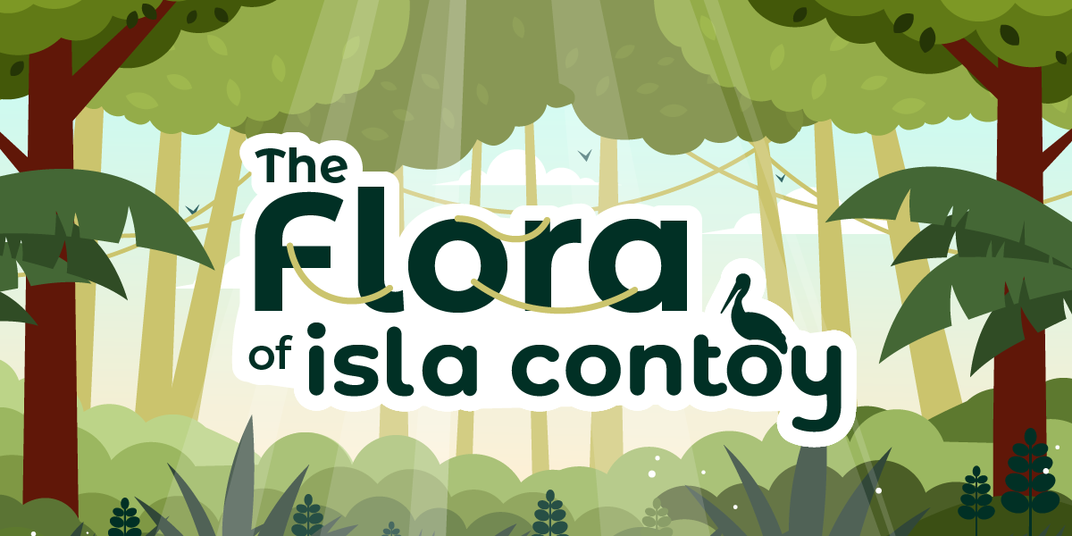 Isla Contoy: Flora & Fauna of the Caribbean's Nature Sanctuary