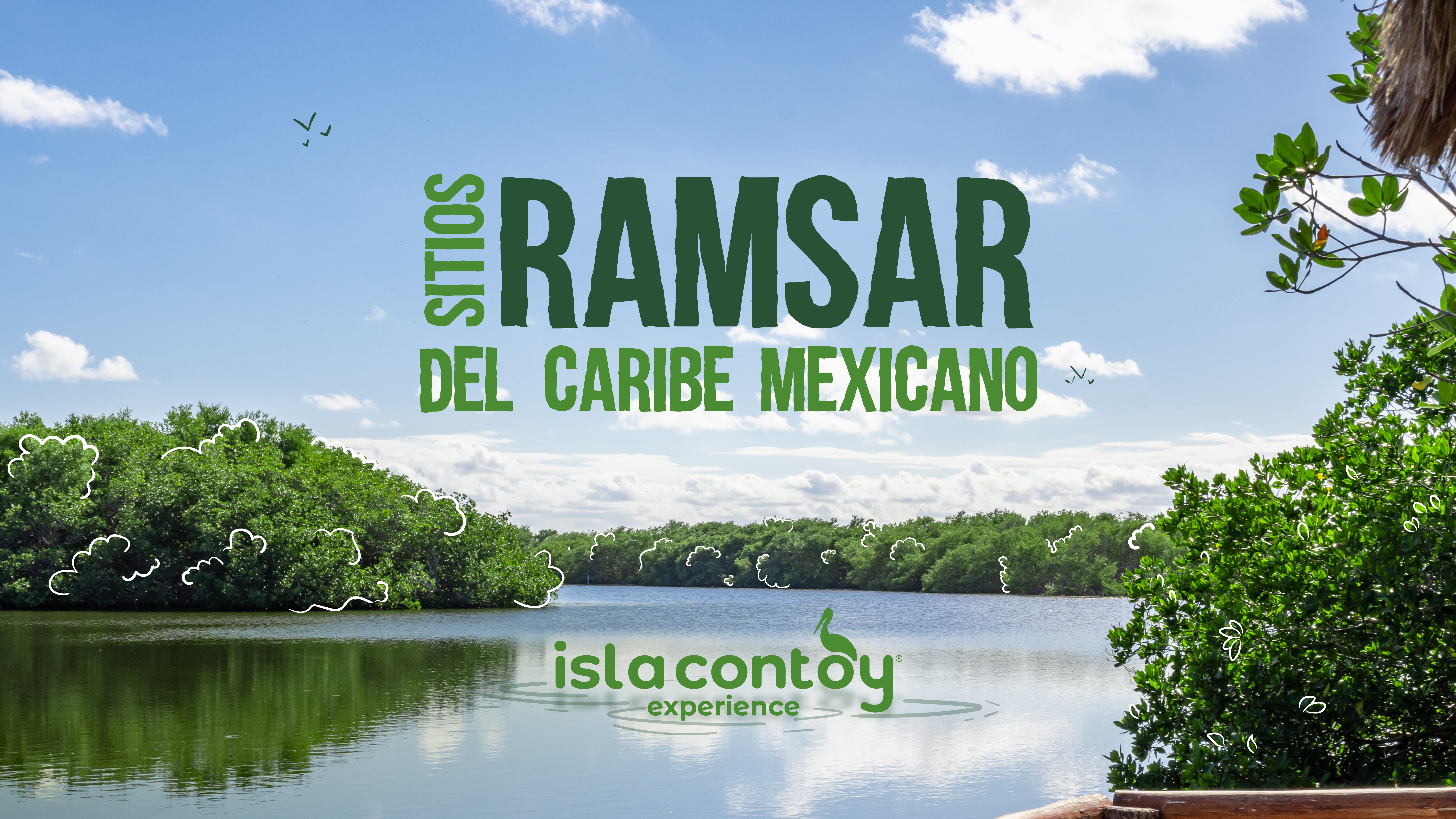 Los 8 humedales que le dan vida a Quintana Roo