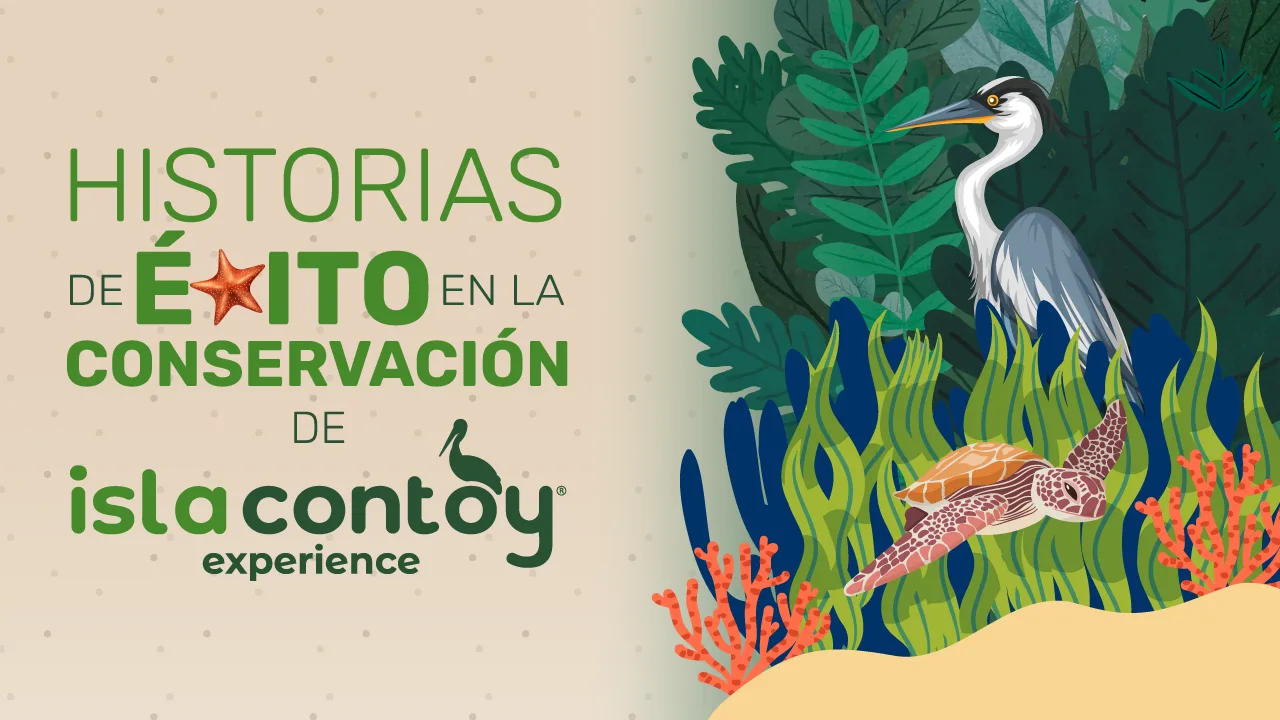 Historias de éxito en la conservación de Isla Contoy